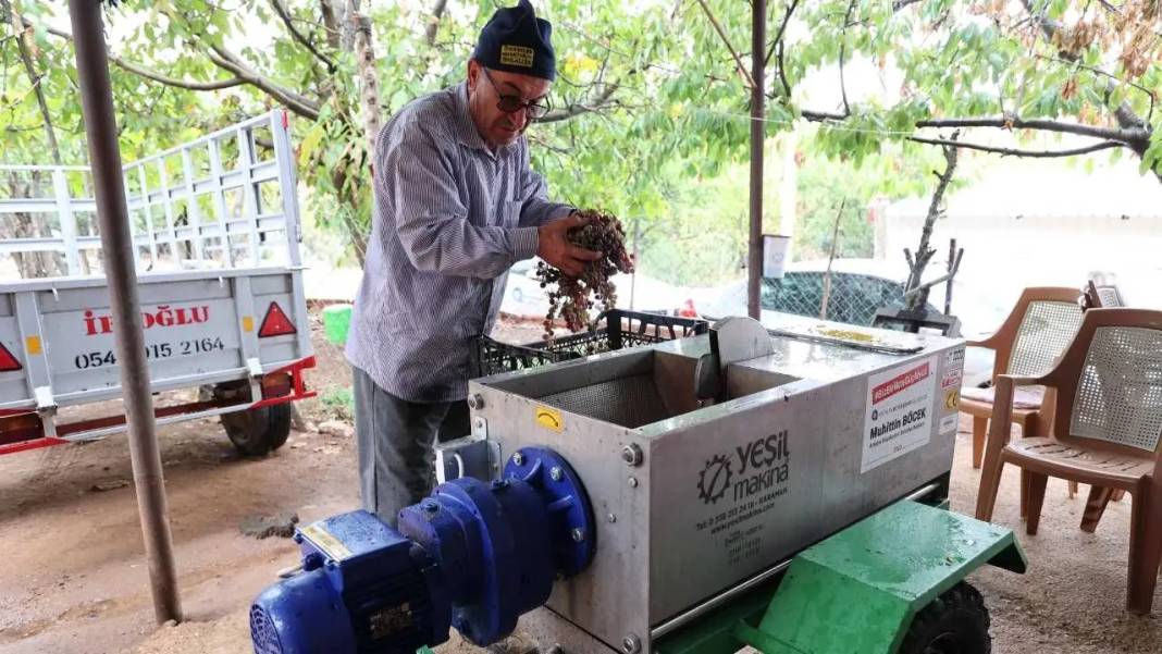 Antalya’da Pekmez Üretimi 10 Dakikaya İndi! 1